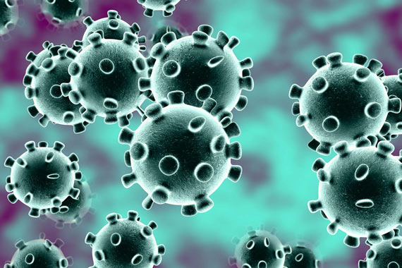 The coronavirus COVID-19 pandemic