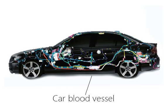 Use of automotive wiring harness protection sleeve