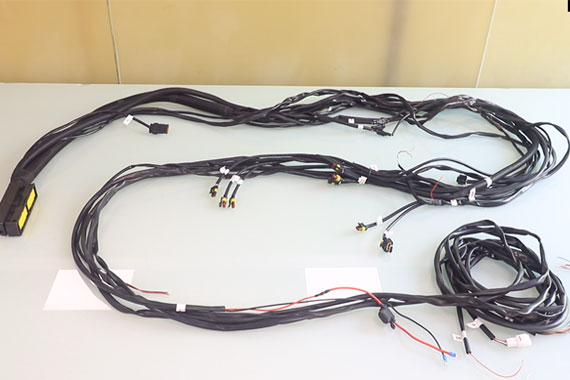 Wire harness and cable assembly